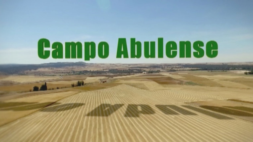 Campo abulense