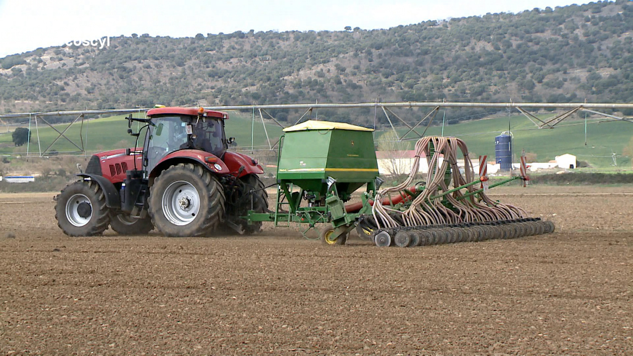 La alteración de los ciclos climáticos y las normativas comunitarias fuerzan un cambio de estrategia en las siembras de Castilla y León